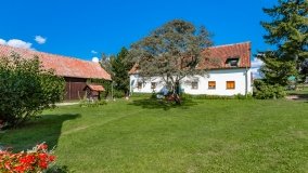 Trygort - zdjęcie 31