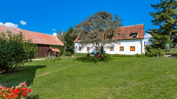 Trygort - zdjęcie 31