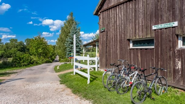 Trygort - zdjęcie 30