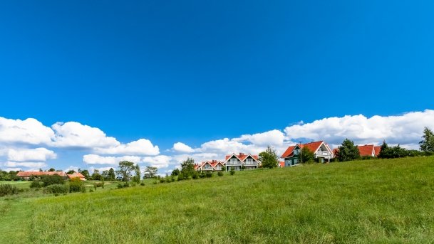 Trygort - zdjęcie 28