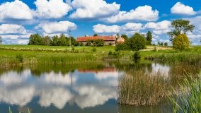 Trygort - zdjęcie 26