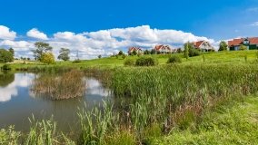 Trygort - zdjęcie 25