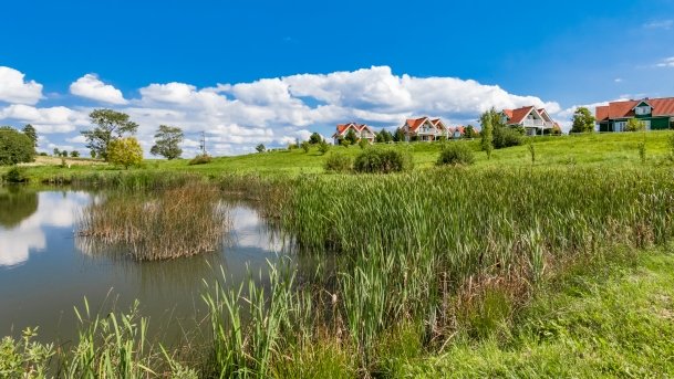 Trygort - zdjęcie 25