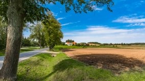 Trygort - zdjęcie 24