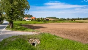 Trygort - zdjęcie 23