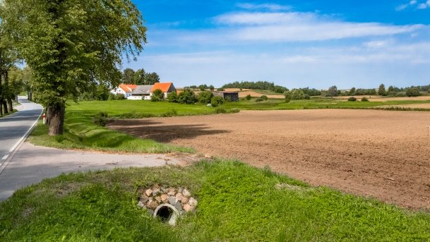 Trygort - zdjęcie 23