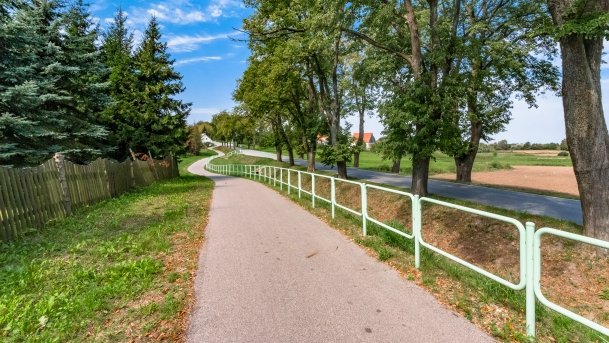 Trygort - zdjęcie 22