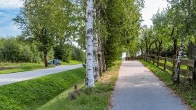 Trygort - zdjęcie 21