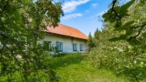 Trygort - zdjęcie 16