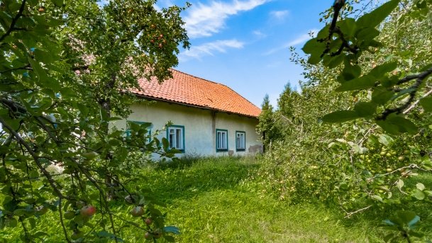 Trygort - zdjęcie 16