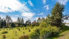 Trygort - zdjęcie 10