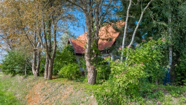 Trygort - zdjęcie 9