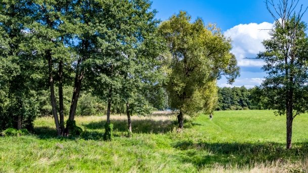 Przystań - zdjęcie 32