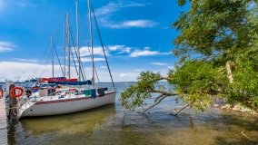 Port Dziki Harsz - zdjęcie 80