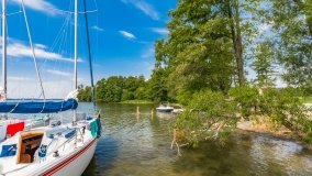 Port Dziki Harsz - zdjęcie 79