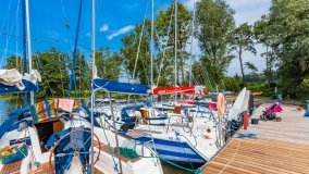 Port Dziki Harsz - zdjęcie 78