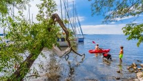 Port Dziki Harsz - zdjęcie 76