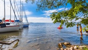 Port Dziki Harsz - zdjęcie 75