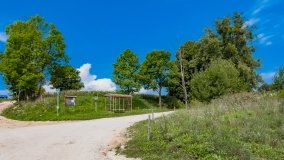 Nowy Harsz - zdjęcie 43