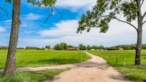 Nowy Harsz - zdjęcie 22