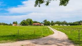 Nowy Harsz - zdjęcie 21