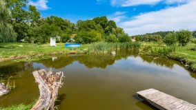 Nowy Harsz - zdjęcie 20