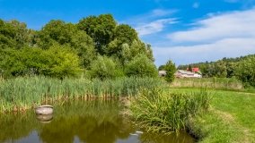 Nowy Harsz - zdjęcie 19