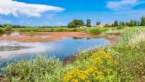 Nowy Harsz - zdjęcie 13