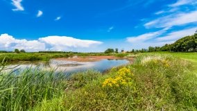 Nowy Harsz - zdjęcie 12