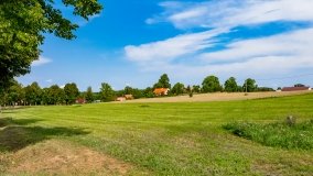 Nowy Harsz - zdjęcie 10