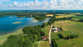 Pieczarki - zdjęcie 25