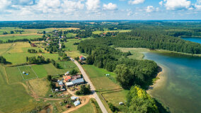 Pieczarki - zdjęcie 24