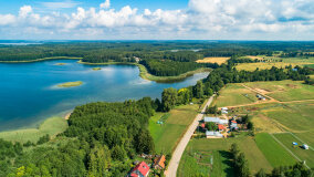 Pieczarki - zdjęcie 23