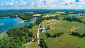 Pieczarki - zdjęcie 22