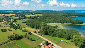 Pieczarki - zdjęcie 21