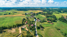 Pieczarki - zdjęcie 20