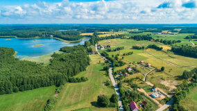 Pieczarki - zdjęcie 19