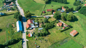 Pieczarki - zdjęcie 18