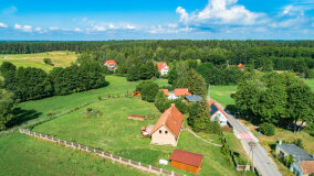 Pieczarki - zdjęcie 16