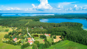 Pieczarki - zdjęcie 15