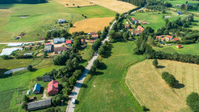 Pieczarki - zdjęcie 14