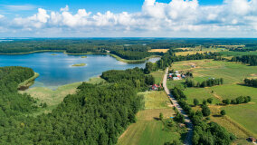 Pieczarki - zdjęcie 12