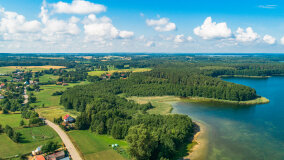 Pieczarki - zdjęcie 11