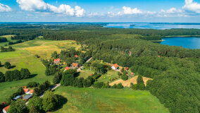 Pieczarki - zdjęcie 10