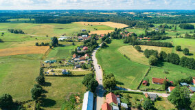 Pieczarki - zdjęcie 9