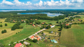 Pieczarki - zdjęcie 8