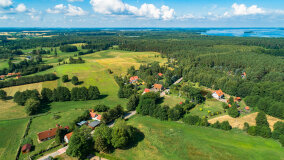 Pieczarki - zdjęcie 7