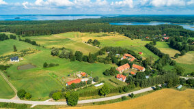 Pieczarki - zdjęcie 6