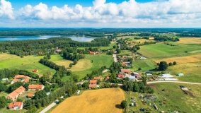 Pieczarki - zdjęcie 5