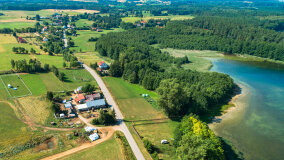 Pieczarki - zdjęcie 4